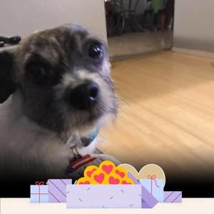 Meet your Posher, Mandy